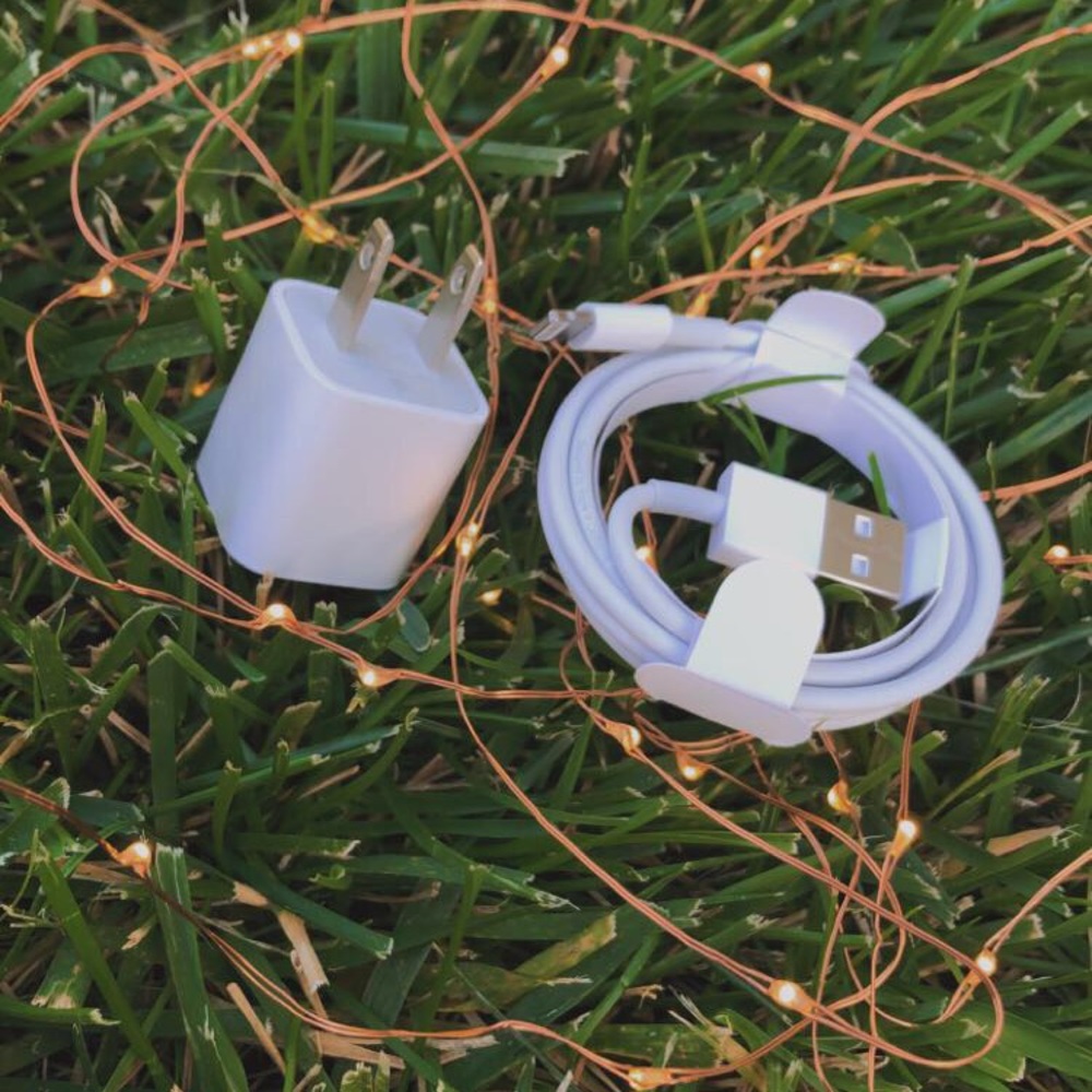 apple charging port (20$) and wire (20$)